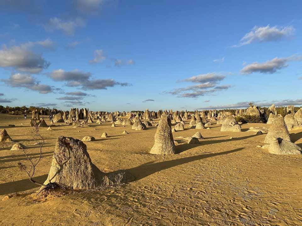 Limestone pillars in the Pinnacles Desert